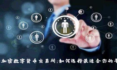 最大加密数字货币交易所：如何选择最适合你的平台？