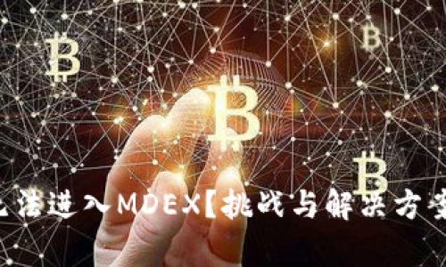 TP钱包无法进入MDEX？挑战与解决方案全解析！