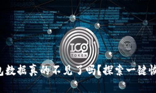 你的TP钱包数据真的不见了吗？探索一键恢复的秘密！