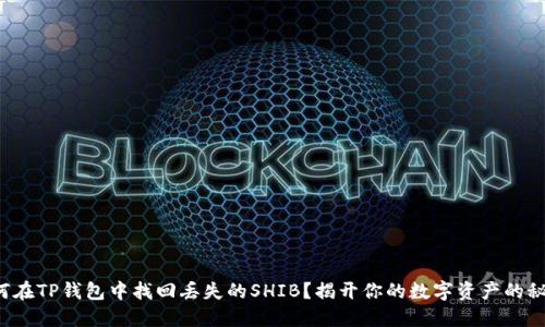 如何在TP钱包中找回丢失的SHIB？揭开你的数字资产的秘密！