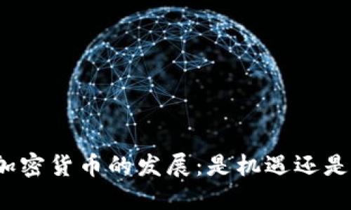 全球加密货币的发展：是机遇还是挑战？