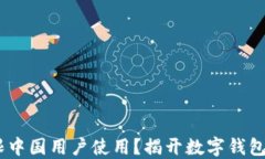 TP钱包：仅限中国用户使用