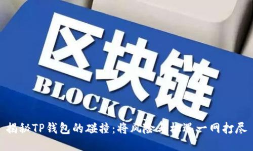 揭秘TP钱包的碰撞：将风险与机遇一网打尽