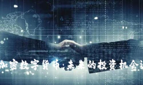 解密DGC共享加密数字货币：未来的投资机会还是虚拟泡沫？