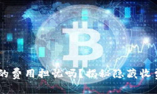 你还在为TP钱包苹果版的费用担忧吗？揭秘隐藏收费，让你明白每一笔花费！