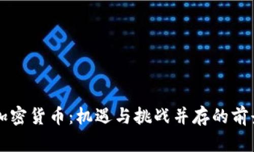 灰度加密货币：机遇与挑战并存的前景探索