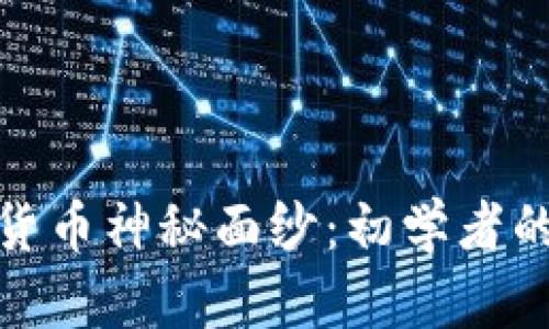 打破加密货币神秘面纱：初学者的必经之路