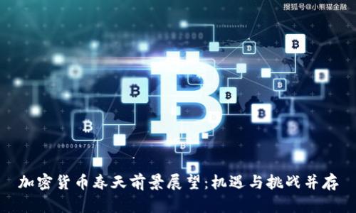 加密货币春天前景展望：机遇与挑战并存