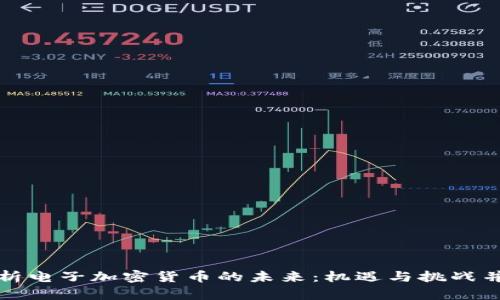 解析电子加密货币的未来：机遇与挑战并存