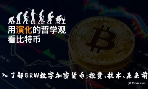 深入了解BRW数字加密货币：投资、技术、未来前景