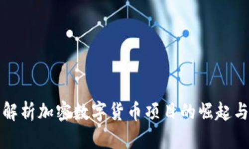 全面解析加密数字货币项目的崛起与未来