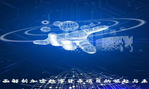 全面解析加密数字货币项目的崛起与未来