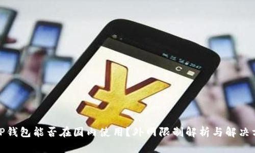: TP钱包能否在国内使用？外网限制解析与解决方案