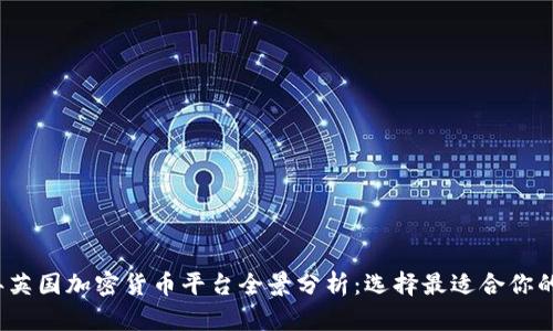 2023年英国加密货币平台全景分析：选择最适合你的交易所