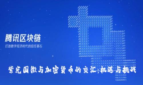 紫光国徽与加密货币的交汇：机遇与挑战