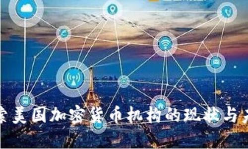 探索美国加密货币机构的现状与未来