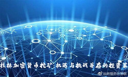 : 桂林加密货币挖矿：机遇与挑战并存的投资策略