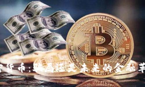 加密货币：骗局还是未来的金融革命？