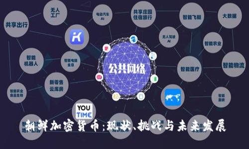 朝鲜加密货币：现状、挑战与未来发展