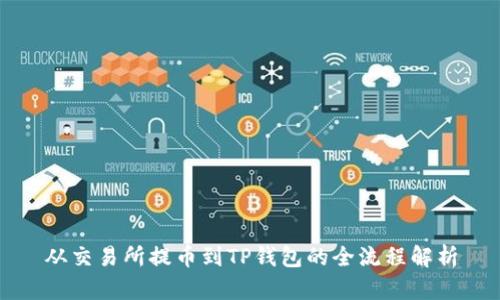 从交易所提币到TP钱包的全流程解析