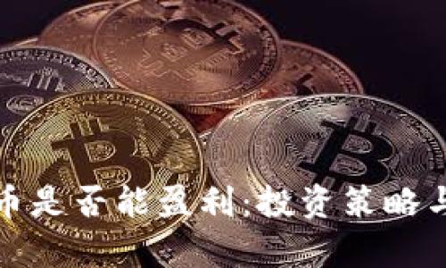 tp钱包买币是否能盈利：投资策略与风险分析