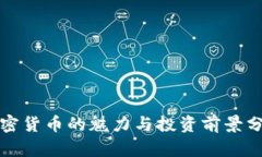 加密货币的魅力与投资前景分析