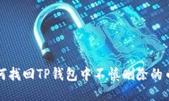  如何找回TP钱包中不慎删除的币种？