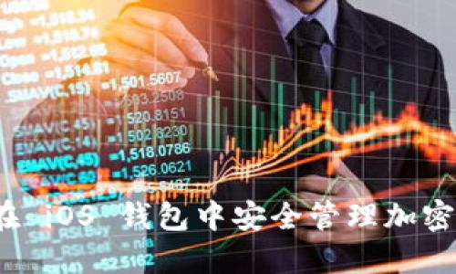 如何在 iOS 钱包中安全管理加密货币？