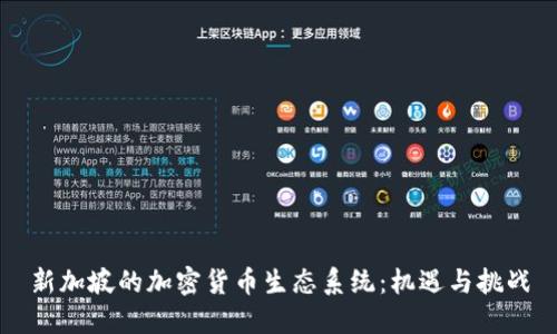 新加坡的加密货币生态系统：机遇与挑战