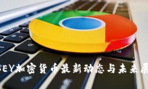 ABEY加密货币最新动态与未来展望